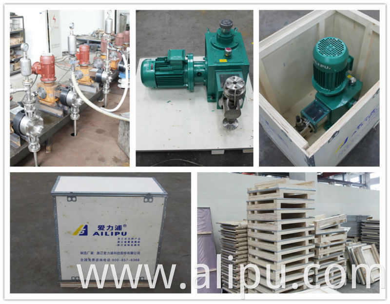 Ailipu Metering Pump